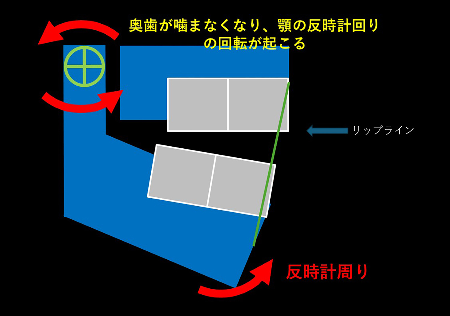 オートローテーションの仕組み 図③